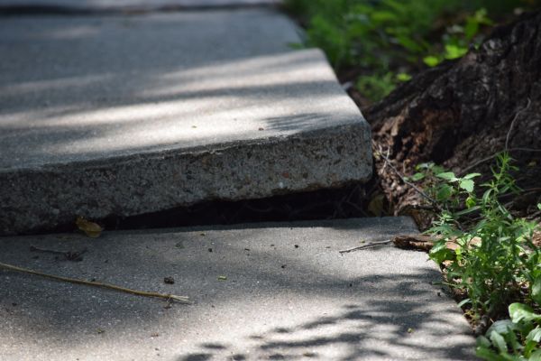 Sidewalk Leveling in Saint Paul